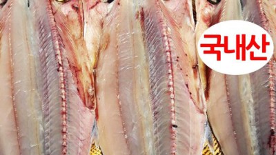 놓치면 후회! 대삼치진공 초특가 후기 🐟✨
