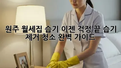 원주 월세집 습기, 이젠 걱정 끝! 습기 제거 청소 완벽 가이드