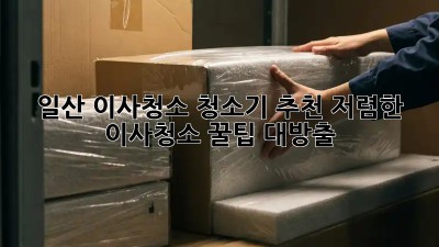 일산 이사청소 청소기 추천! 저렴한 이사청소 꿀팁 대방출 ✨